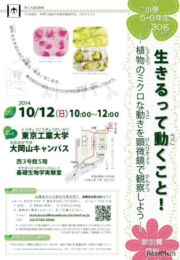 生きるって動くこと！ -植物のミクロな動きを顕微鏡で観察しよう-