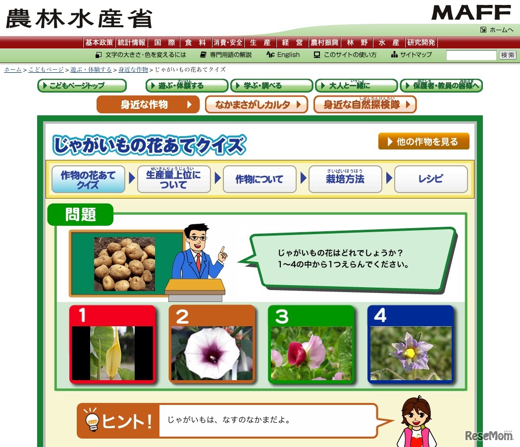 作物の花あてクイズ