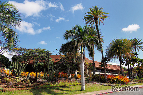 ハワイ大学カピオラニコミュニティカレッジ（参考画像）
