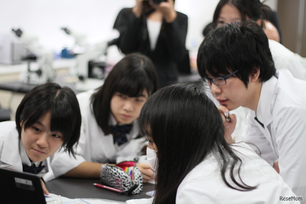 検体の画像を見ながら診断について議論する生徒たち