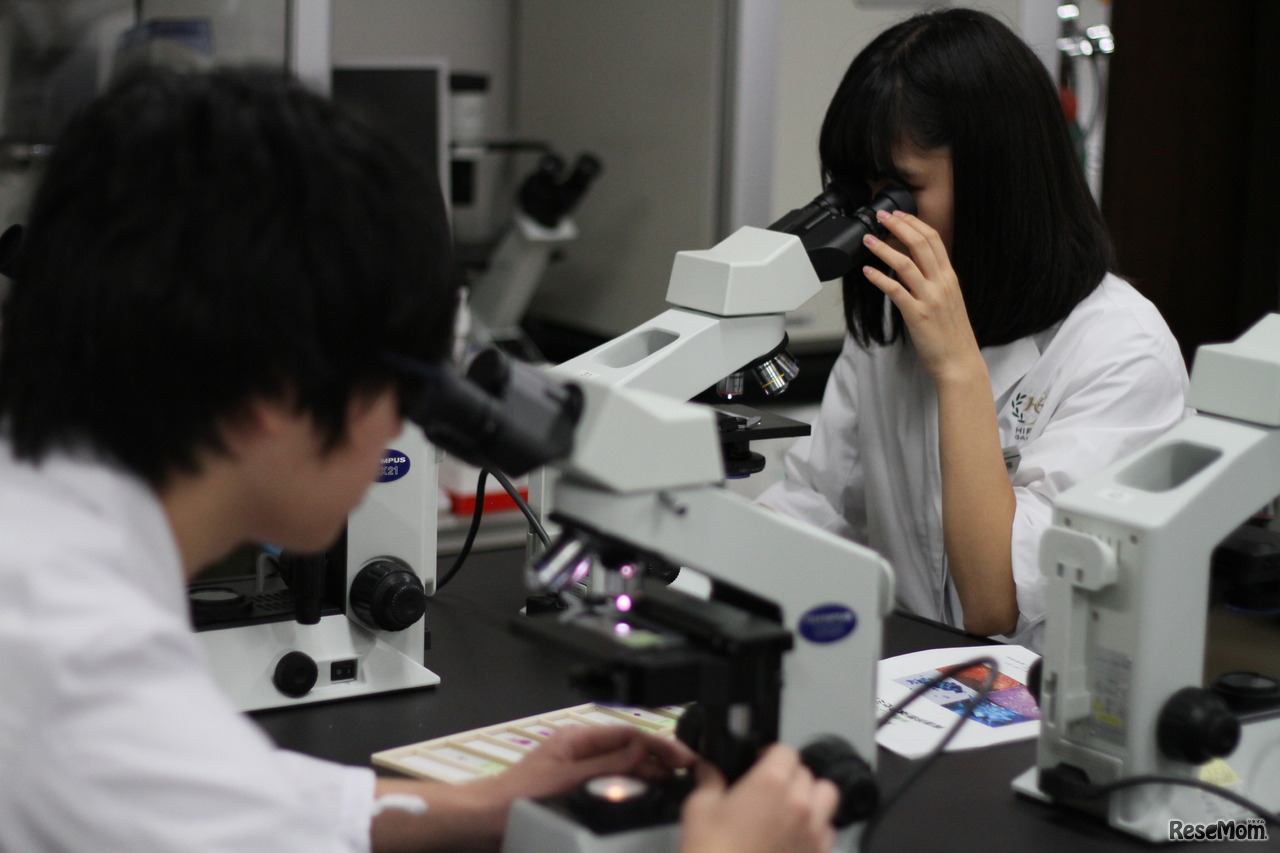 癌細胞を顕微鏡で観察