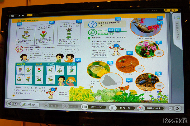 「身近なしぜんのかんさつ」。教科書の紙面と同じ内容を見開きで表示