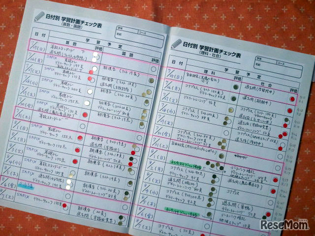 夏休み学習スケジュール表