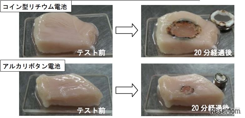 鶏肉を使用した化学やけど再現