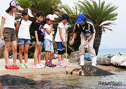 鴨川シーワールド・サマースクール