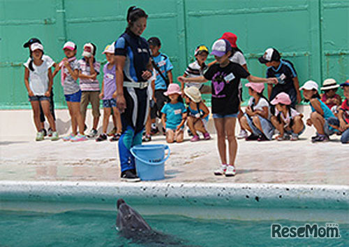 鴨川シーワールド・サマースクール
