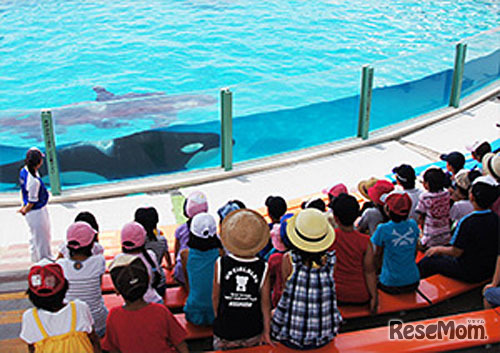鴨川シーワールド・サマースクール