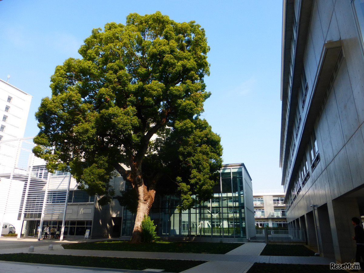 東大駒場キャンパス、2014年に竣工した新校舎「21 KOMCEE」