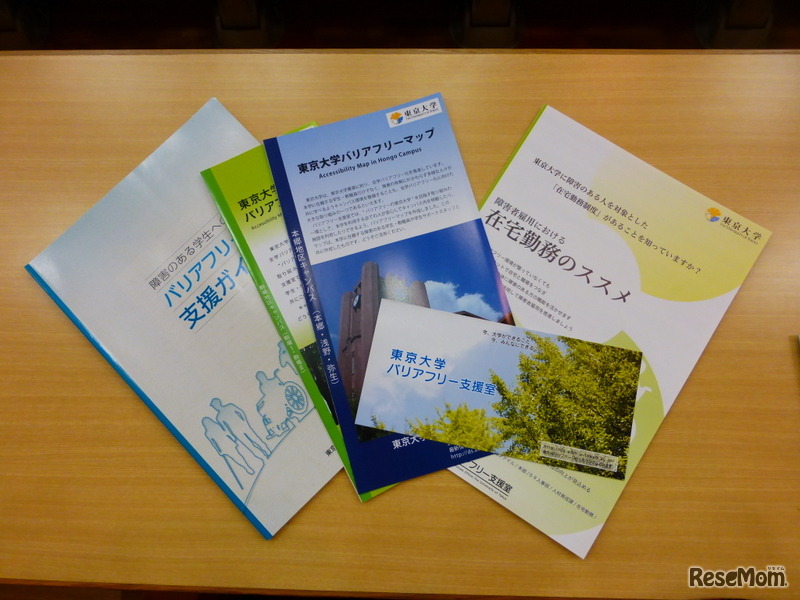 「高等教育機関における機会均等への挑戦　－バリアフリーの東京大学は実現したか―」