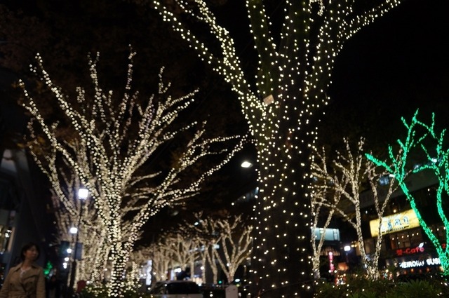 東京・表参道でイルミネーション点灯開始