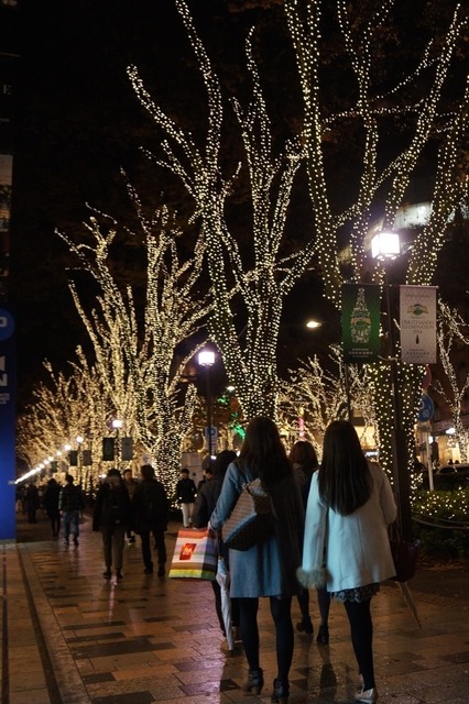東京・表参道でイルミネーション点灯開始