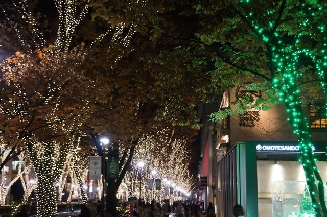 東京・表参道でイルミネーション点灯開始