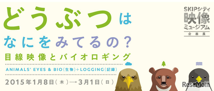 どうぶつは、なにをみてるの？～目線映像とバイオロギング～