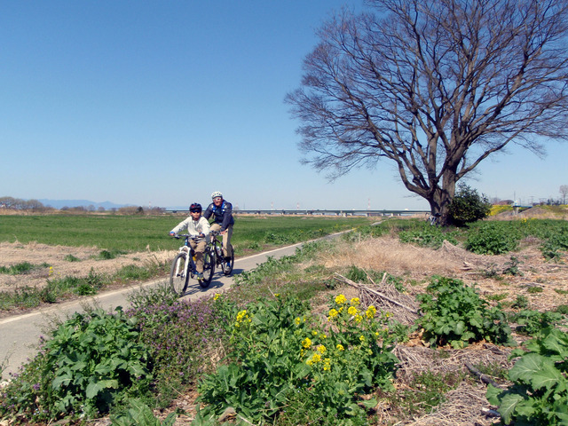 【なくせ！自転車事故】ヘルメット着用で救われる命がある