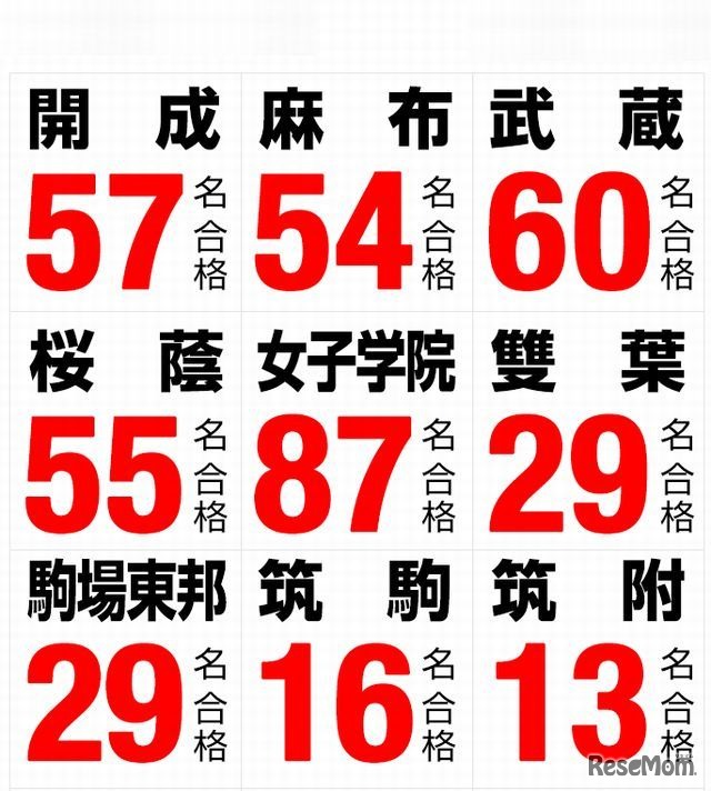 早稲田アカデミーの合格実績