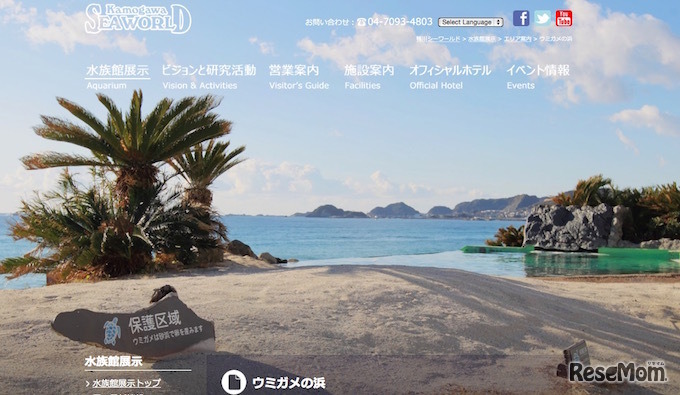 鴨川シーワールド内のウミガメ展示施設「海亀の浜」