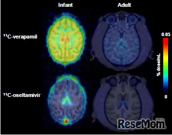 独立行政法人 理化学研究所