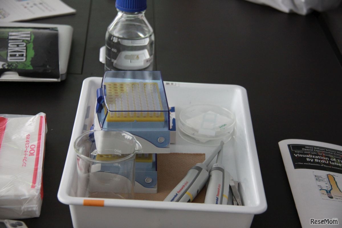 実際の研究においても使用されるマイクロピペットなどの実験器具を用いて実験を行う