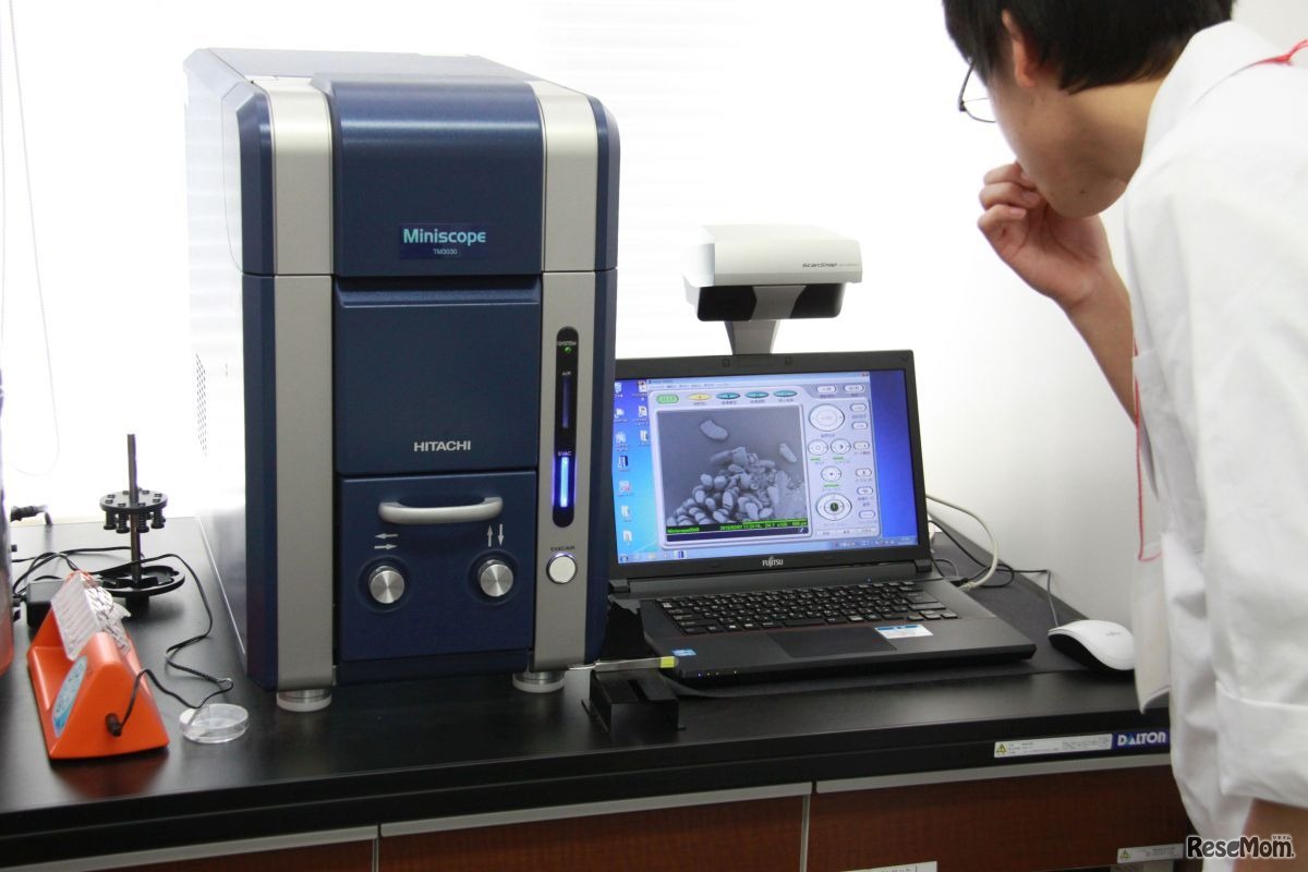 作成したプレパラートを電子顕微鏡で観察する