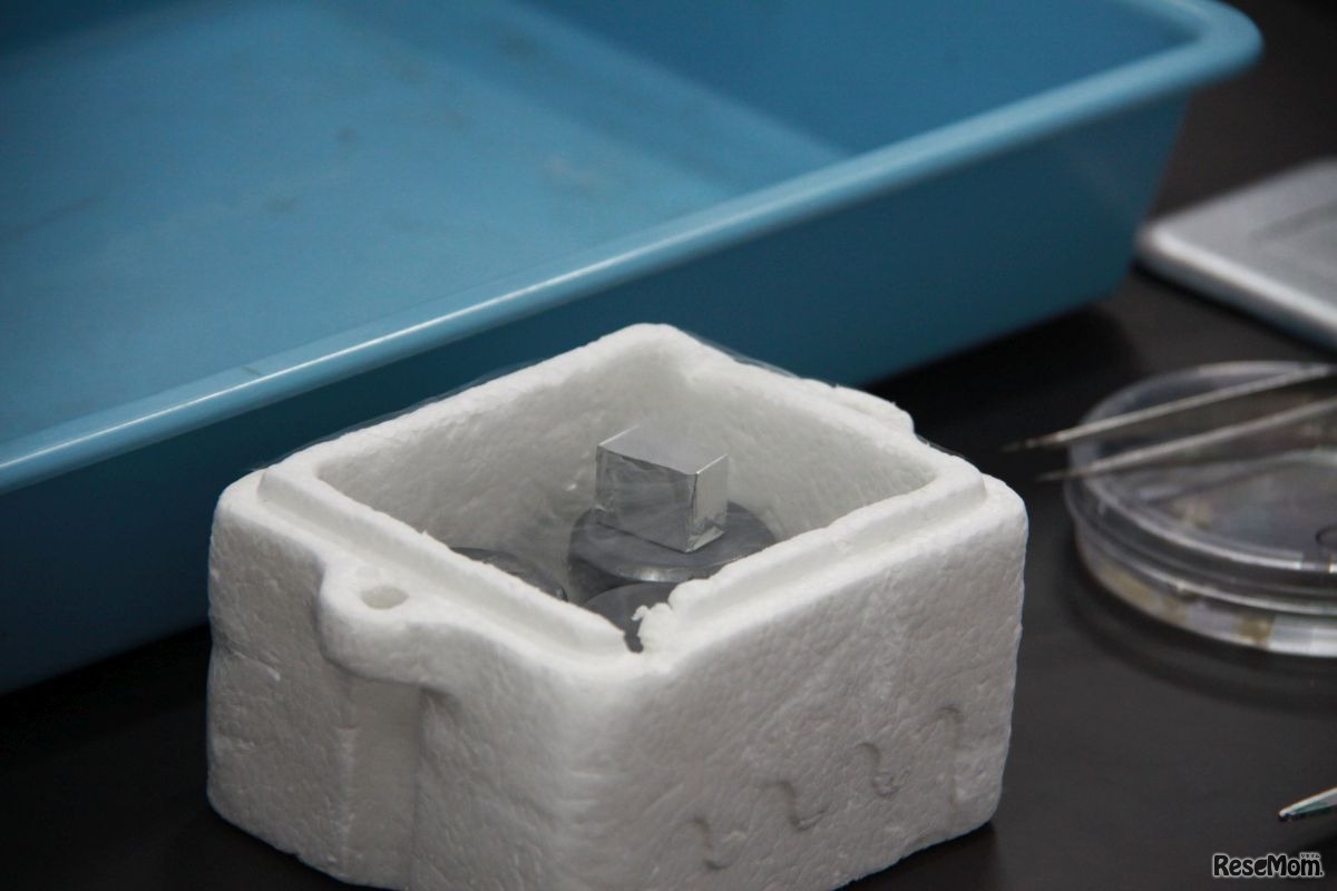 小腸のサンプルを凍らせる