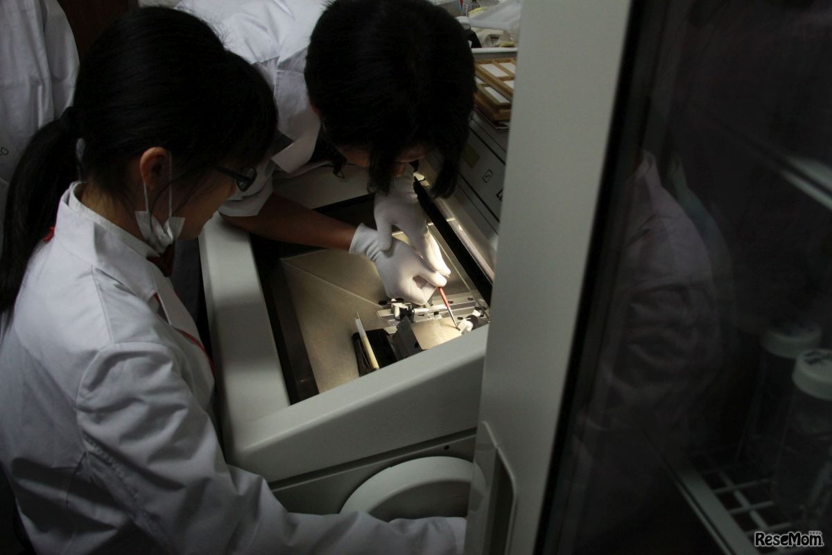 実際にクライオスタットで薄切切片を作る参加者もいた