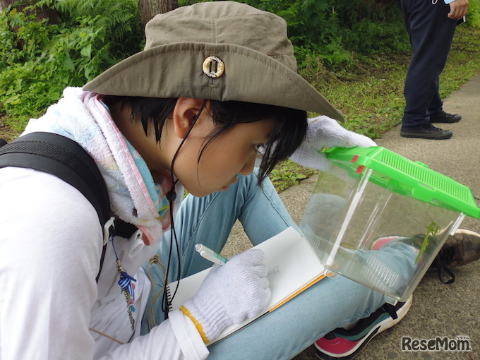 科学の泉ー自ら課題を見つけ、探求方法を探る