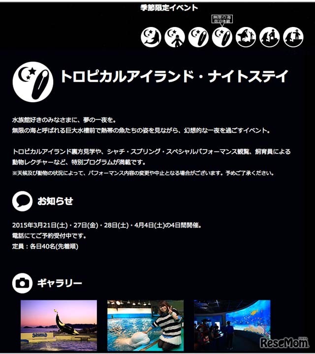 トロピカルアイランドナイトステイ