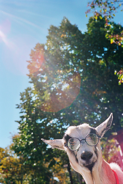 マイキータ初の子供用アイウエアコレクション「マイキータ ファースト」