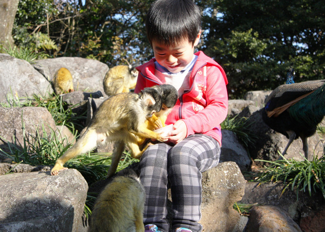 伊豆シャボテン公園グループ、ロボットからカピバラまで楽しめる「春イベント～SPRING EVENT2015～」を開催