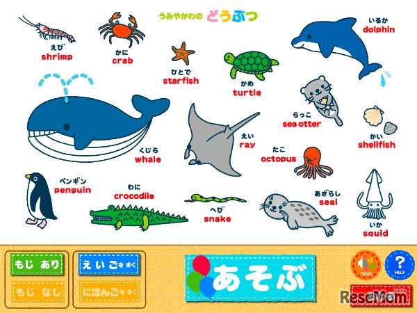 うみやかわのどうぶつ