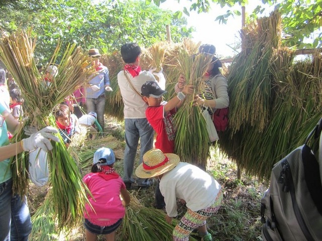 ハウス食と農と環境の体験教室