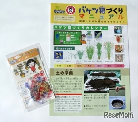 バケツ稲づくりセット