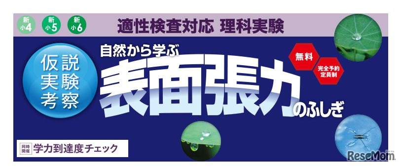 「自然から学ぶ表面張力のふしぎ」