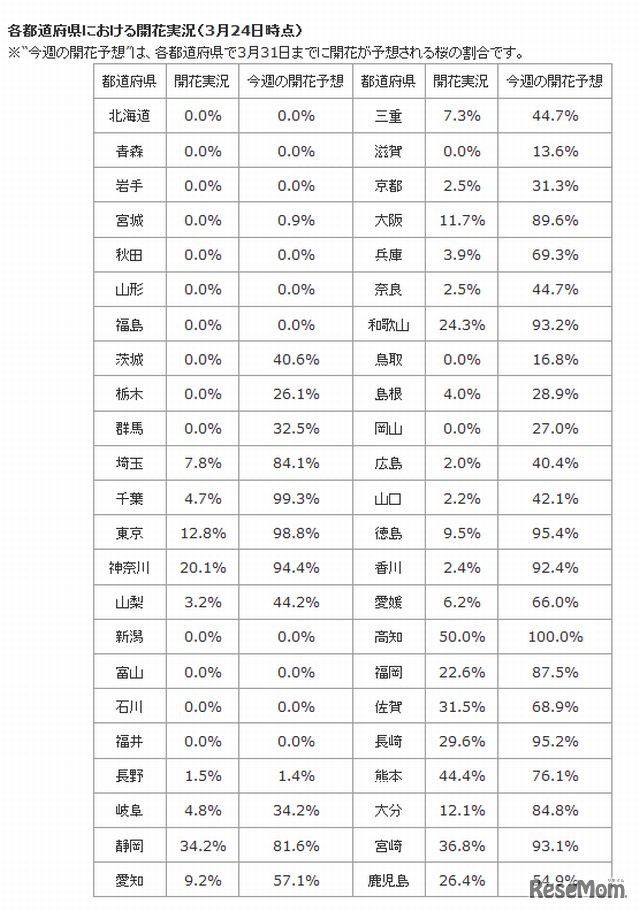 各都道府県の開花実況