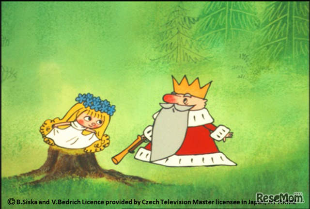 「アマールカ」