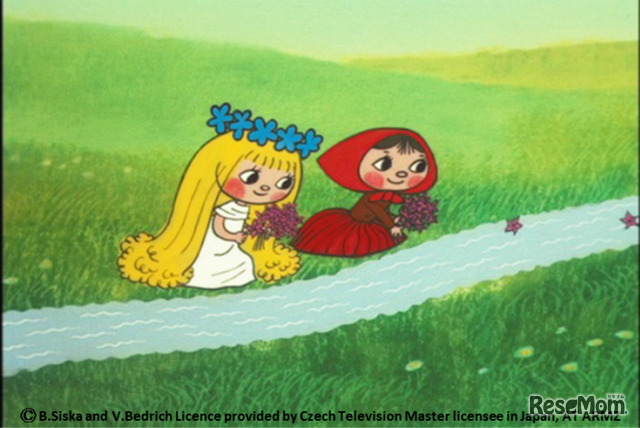 「アマールカ」