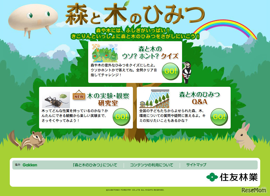 森と木のひみつ