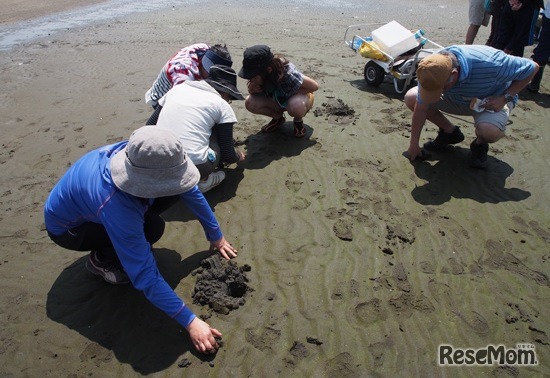 葛西臨海水族園