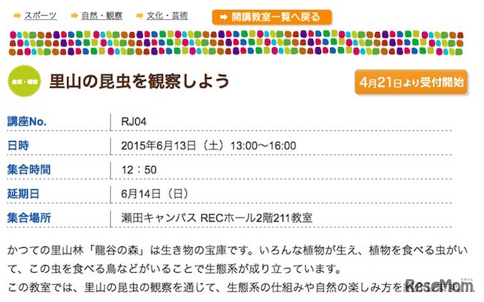 里山で昆虫を観察しよう