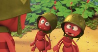 映画「みつばちマーヤ」　(c) Studio 100 Media, Buzz Studios, Screen Australia, Screen NSW www.maya.tv and www.studio100.eu, TM Studio 100
