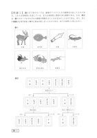 【高校受験2019】鳥取県公立高校入試＜理科＞問題・正答