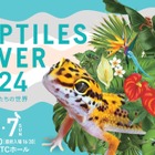 爬虫類の祭典「レプタイルズフィーバー」大阪7/6-7 画像