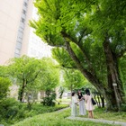 【大学受験2025】日本女子大、地方入学者対象「桜楓樹給付奨学金」開始 画像