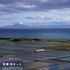 JR「青春18きっぷ」7/4発売…北海道新幹線オプション券も 画像
