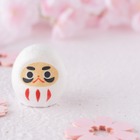 医師国家試験の合格発表3/16…近年の推移や学校別の状況 画像