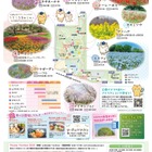 【GW2026】フラワーフェスティバル、国営昭和記念公園5/24まで 画像