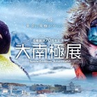 【夏休み2026】南極の氷や隕石にふれる「大南極展」日本科学未来館7/1より 画像