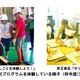 【夏休み】京王グループ17社でお仕事体験…参加小学生211組募集 画像