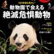 日本で見られる40種を紹介「動物園で会える絶滅危惧動物」 画像
