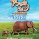 動物や文化などを紹介、多摩動物公園アフリカフェア10/21・22 画像